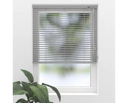 Fenêtre avec stores horizontaux pour le contrôle de la lumière