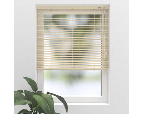 Fenêtre avec stores horizontaux pour la régulation de la lumière