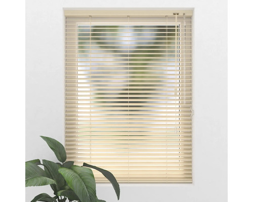 Fenêtre avec stores horizontaux et plante d''intérieur