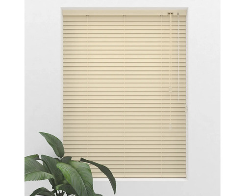 Fenêtre avec stores vénitiens fermés et plante d''intérieur