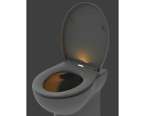Toilette avec couvercle ouvert et éclairage intégré