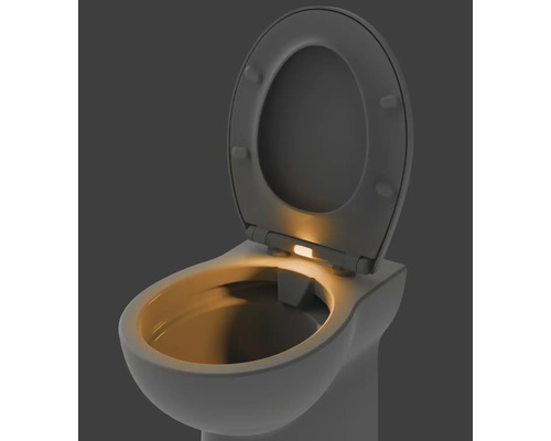 Toilettes avec couvercle ouvert et éclairage intégré