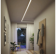 Flur mit Deckenleuchte, Garderobe und Zimmerpflanzen