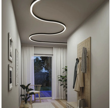 Modern gestalteter Flur mit geschwungener Deckenleuchte, Garderobe und Zimmerpflanzen