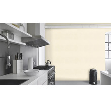 Cuisine claire avec évier, cuisinière, hotte aspirante et poubelle