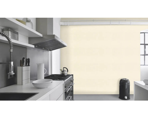 Cuisine claire avec évier, cuisinière, hotte aspirante et poubelle