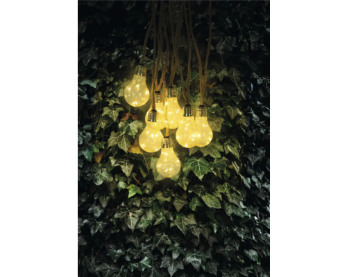 Dekorative Glühbirnen-Lichterkette mit Seilaufhängung vor Efeuwand