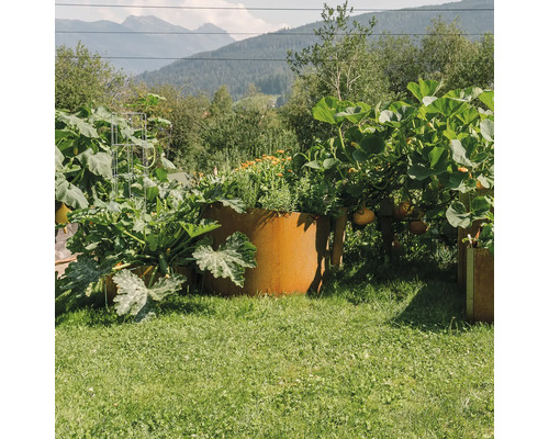 Jardin avec des parterres de jardin surélevés en métal et différents légumes