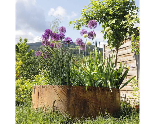 Jardinière ronde en métal avec diverses plantes dans le jardin.