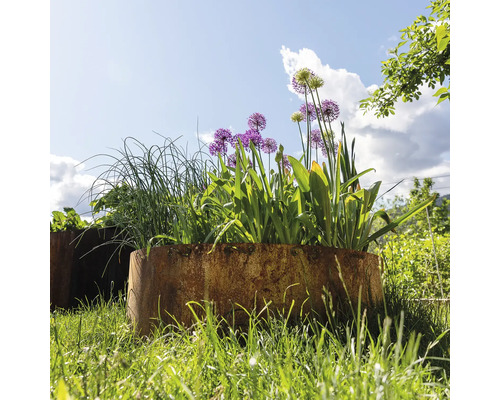 Fleurs et herbes aromatiques dans des bacs à plantes dans le jardin