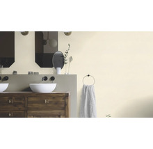 Salle de bains avec lavabos, miroirs et porte-serviettes