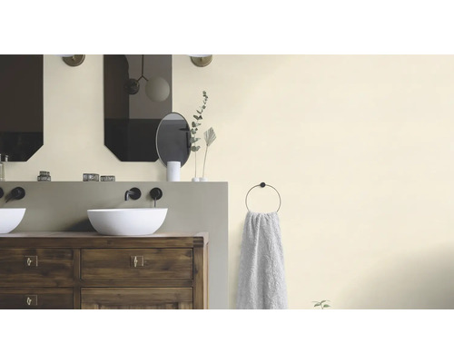 Salle de bains avec lavabos, miroirs et porte-serviettes