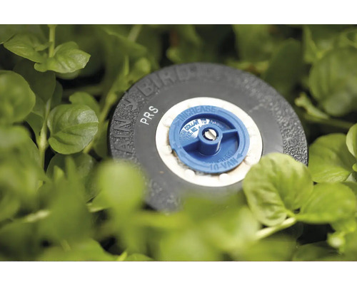 Tête de pulvérisation à pression contrôlée VRAIN Bird dans l''herbe