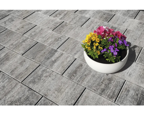 Pavés en béton avec des fleurs dans un pot