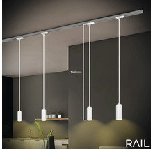 Quatre suspensions sur un rail d''une longueur de 1450 millimètres suspendues au plafond.