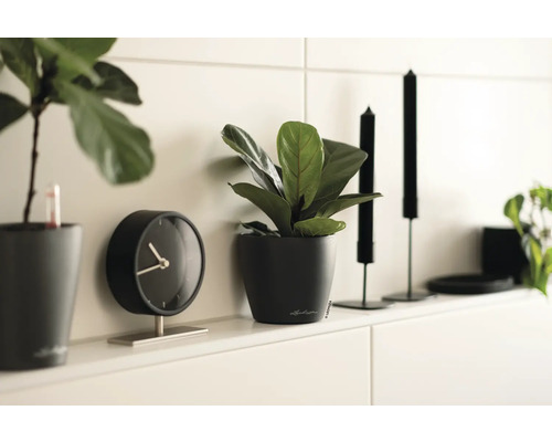 Scène décorative avec des plantes en pot, une horloge et des chandeliers sur une étagère