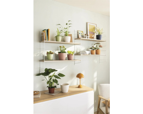 Wohnzimmer mit Regalen, Pflanzen und Tischleuchte