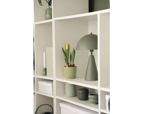 Regal mit dekorativen Gegenständen, darunter Lampe und Topfpflanze