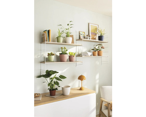 Wohnzimmer mit Wandregalen und Zimmerpflanzen in Blumentöpfen auf einem Sideboard.