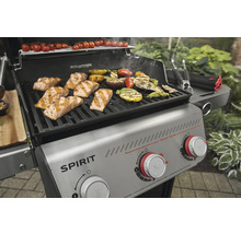 Gasgrill mit Lachs und Gemüse auf dem Grillrost