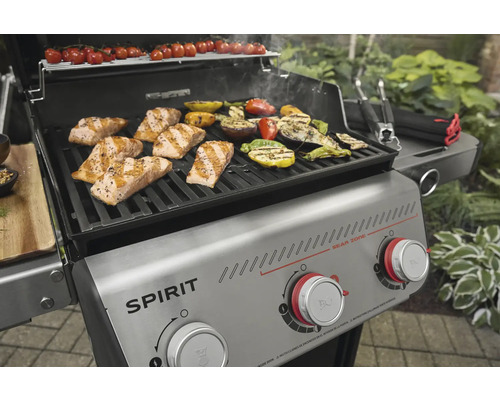 Gasgrill mit Lachs und Gemüse auf dem Grillrost