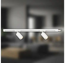 Deckenleuchte mit zwei Strahlern an einer Schiene