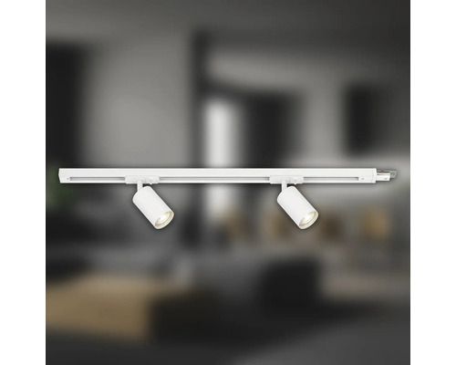 Deckenleuchte mit zwei Strahlern an einer Schiene