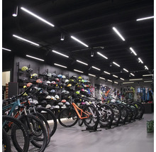 Innenaufnahme eines Fahrradgeschäfts mit ausgestellten Fahrrädern und Helmen