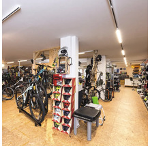 Fahrradgeschäft Innenansicht mit Fahrrädern, Helmen und Zubehör