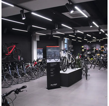 Innenansicht eines Fahrradgeschäfts mit ausgestellten Fahrrädern und Verkaufsständern