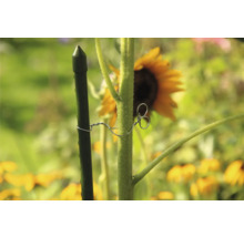 Support pour plantes en plastique avec fil de liaison dans le jardin