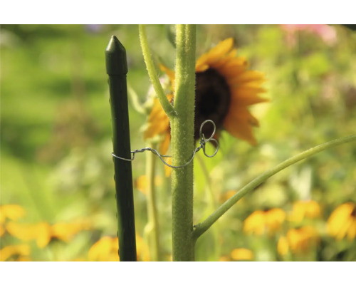 Support pour plantes en plastique avec fil de liaison dans le jardin