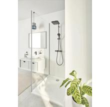 Badezimmer mit Dusche, Waschbecken, Spiegel und Pflanze