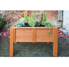 Hochbeet aus Holz mit Bepflanzung im Garten