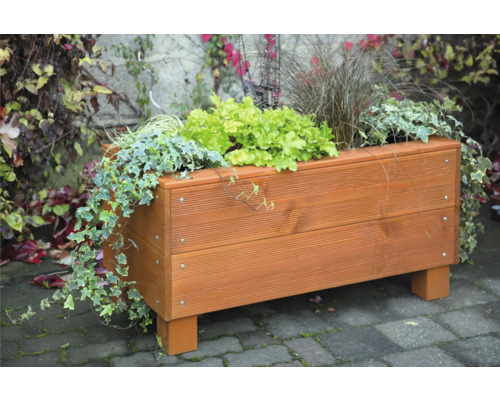 Jardinière en bois avec diverses plantes