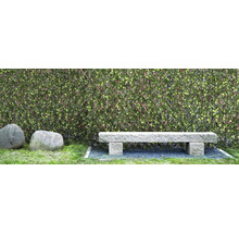 Clôture en bambou, treillis pour plantes artificiel Gardenia 180 x 90 cm