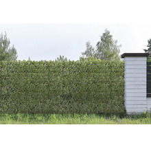 Clôture en bambou, treillis pour plantes artificiel BostonIvy 180 x 90 cm