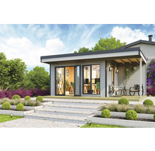 Abri de jardin avec terrasse et équipement de bureau dans le jardin