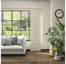 Salon avec canapé, plantes d''intérieur, horloge et store japonais devant la fenêtre