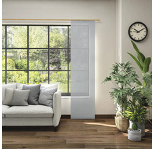 Salon avec panneau coulissant, canapé, horloge et plantes d''intérieur