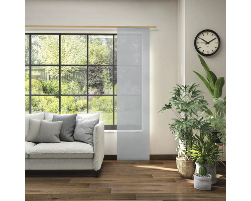 Salon avec panneau coulissant, canapé, horloge et plantes d''intérieur