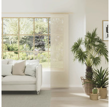 Salon lumineux avec rideau coulissant, canapé et plantes