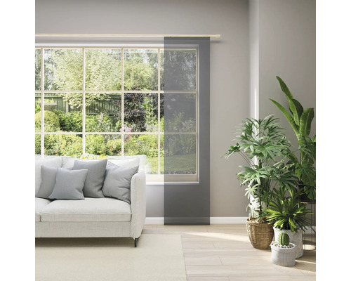 Salon avec fenêtre, canapé et panneau coulissant pour l''intimité