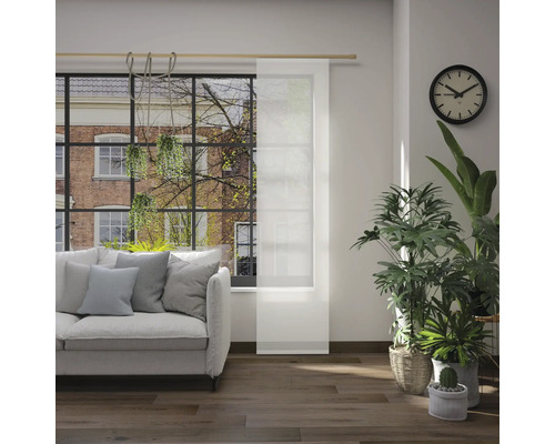 Salon avec canapé, plantes d''intérieur, horloge et panneau coulissant devant la fenêtre