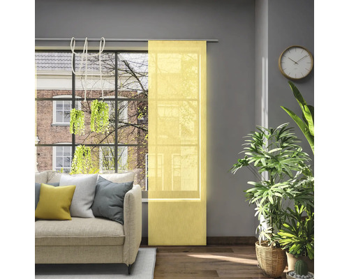 Salon avec rideau coulissant à la fenêtre, canapé, plantes d''intérieur et horloge murale