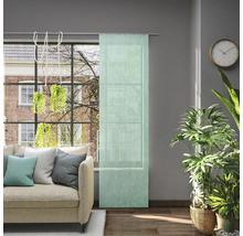 Salon avec canapé, plantes d''intérieur, horloge et panneau coulissant