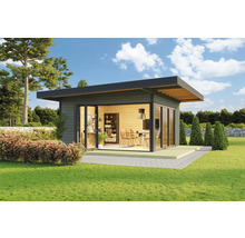 Abri de jardin moderne avec portes coulissantes et toit plat dans un cadre verdoyant