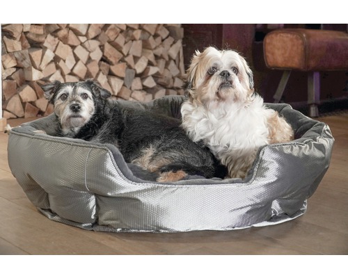 Zwei Hunde liegen in einem grauen Hundebett.