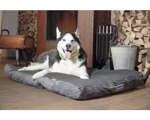 Husky allongé sur un coussin pour chien gris à l''intérieur.