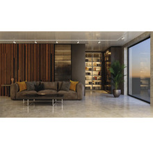 Salon moderne avec canapé, table basse, bibliothèque et plante d''intérieur.